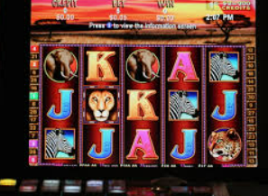 星空全站最新版