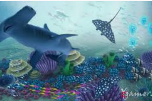 星空全站最新版